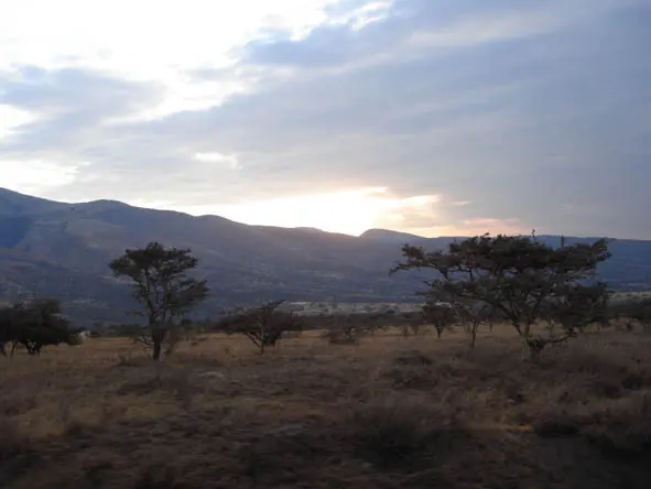 Exploring Ngorongoro Crater on Luxury safari tours Tanzania