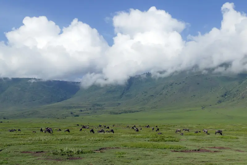 Safari to Ngorongoro Crater in Northern Tanzania