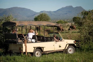 Game viewing in Kidepo National Park - tourists watching an elephant herd