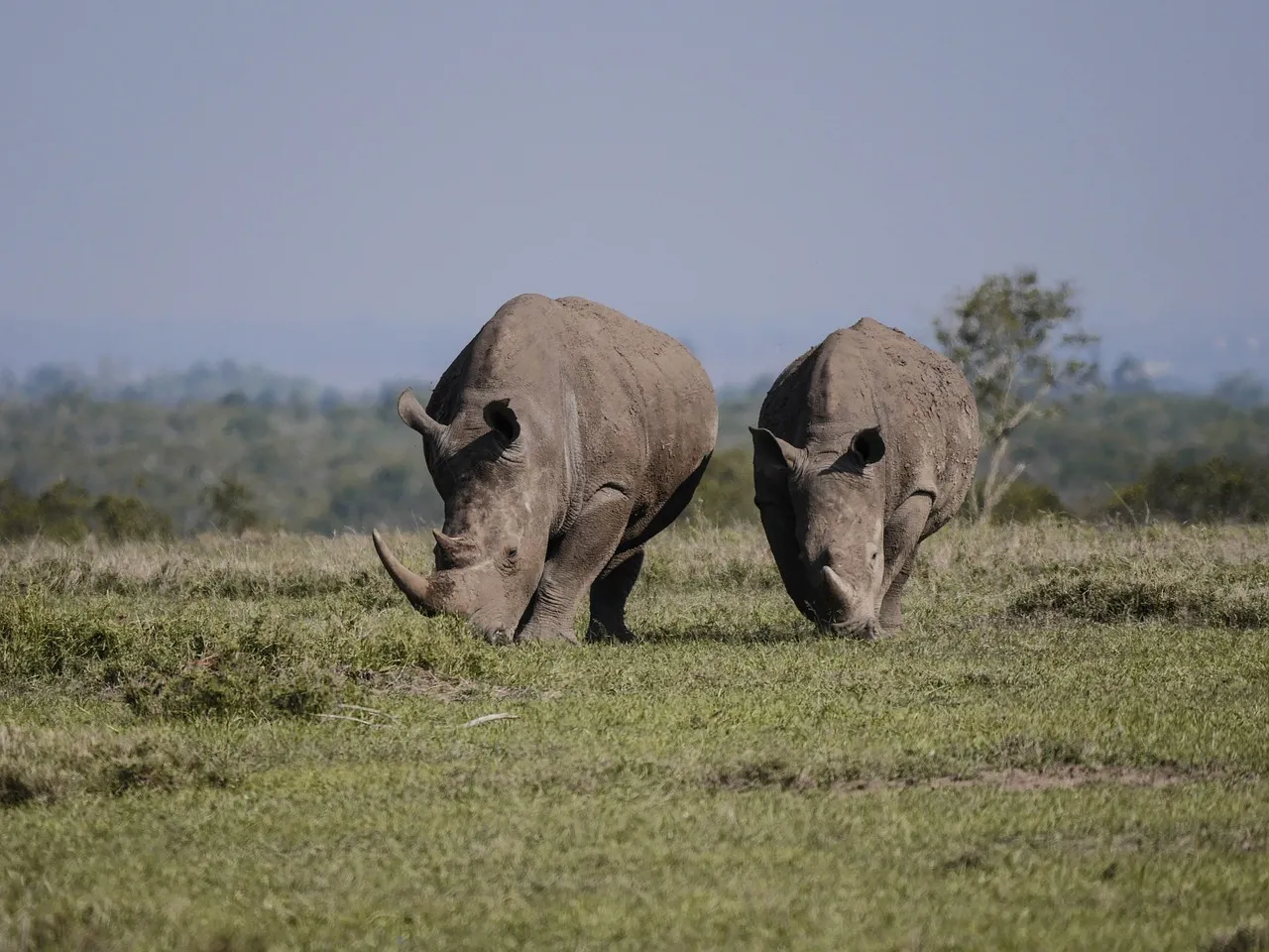 holidaying in Kenya