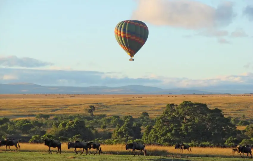 Lake Nakuru & Masai Mara Safari Package - hot air balloon over the Masai Mara