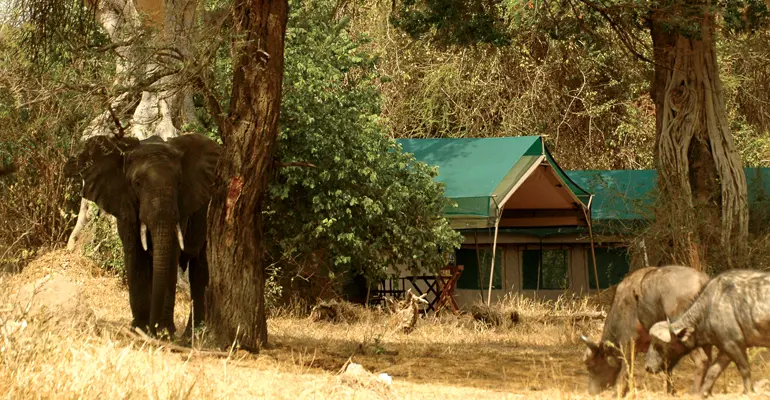 Mid-range accommodation at Ruaha National Park