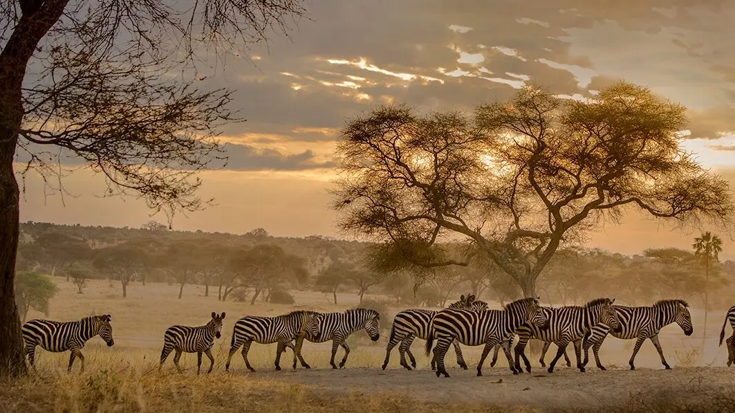 Northern Tanzania Safari to Tarangire National Park