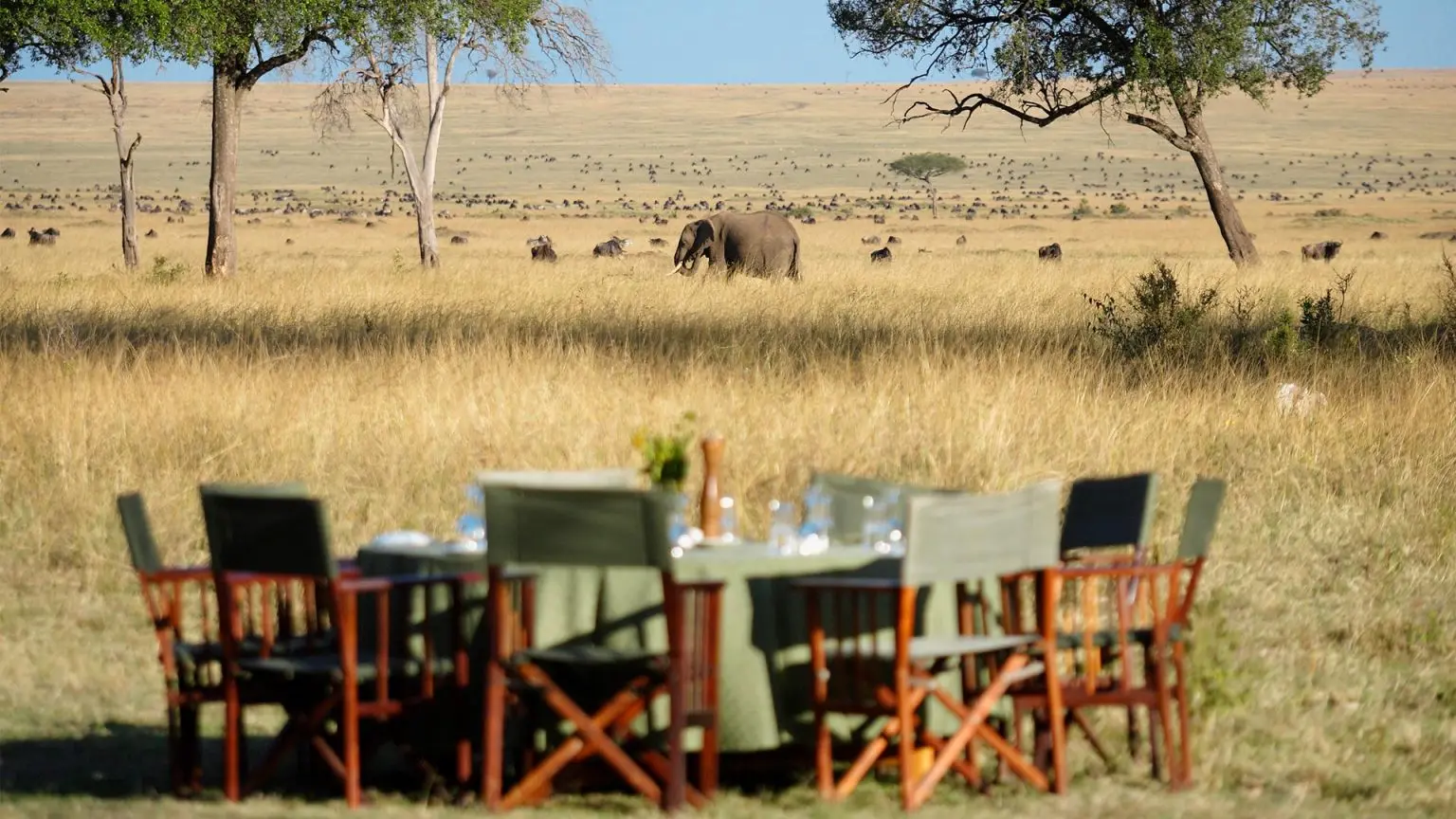 Accommodation options in Affordable Kenya Safari Packages - Bush meals in the Masai Mara