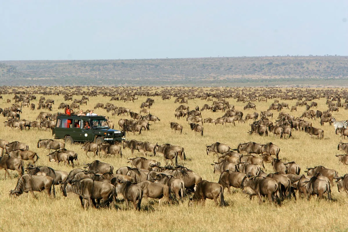 Manyara Lake