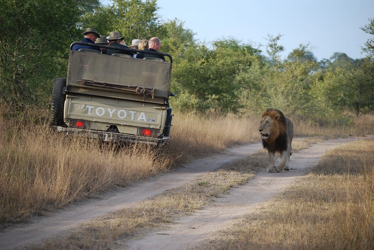 safari trips in Tanzania