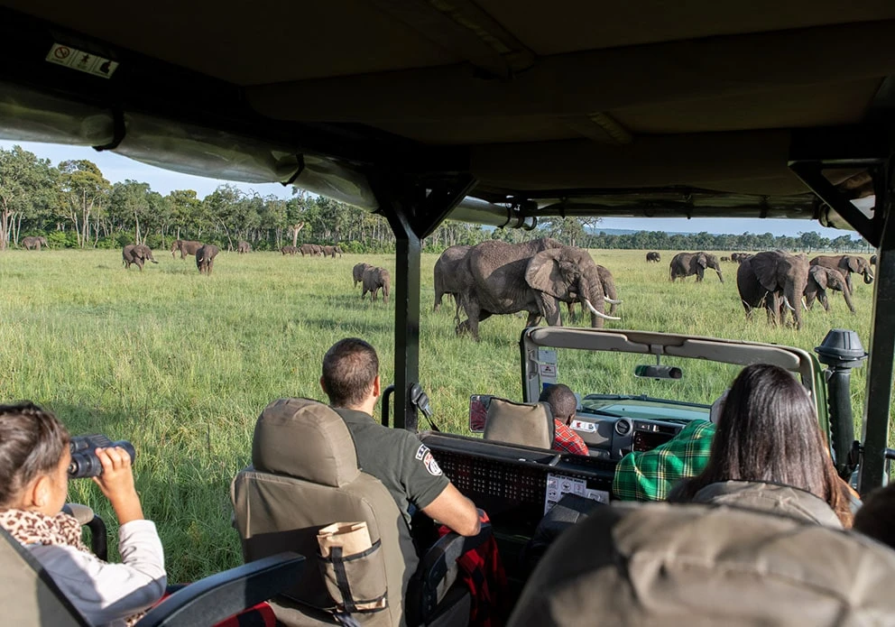 African safari Tanzania