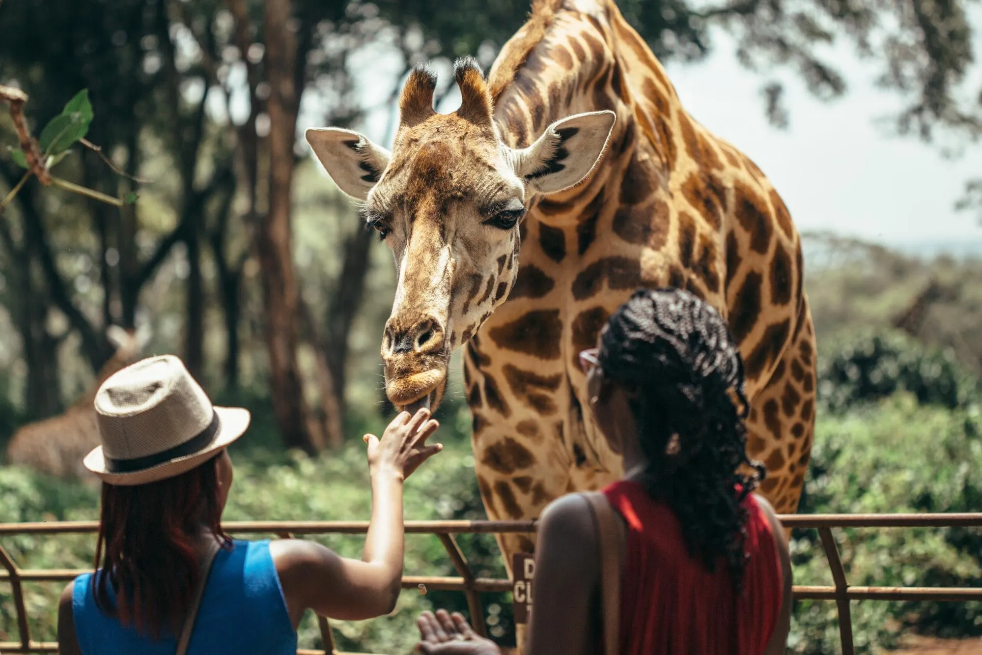 Nairobi city tour