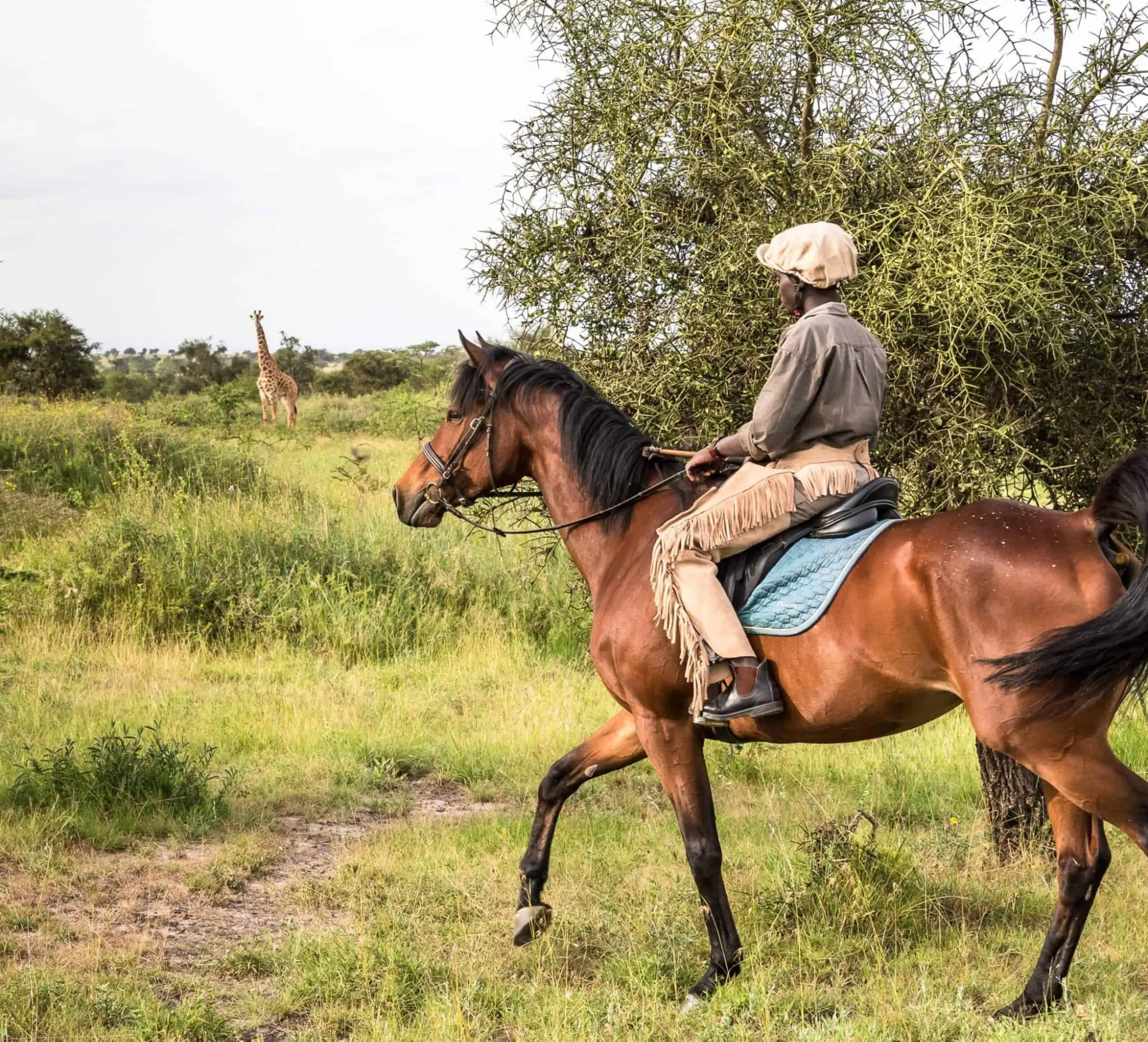 Best time to visit Kenya for a safari is October when weather can allow horseback riding safaris in Kenya
