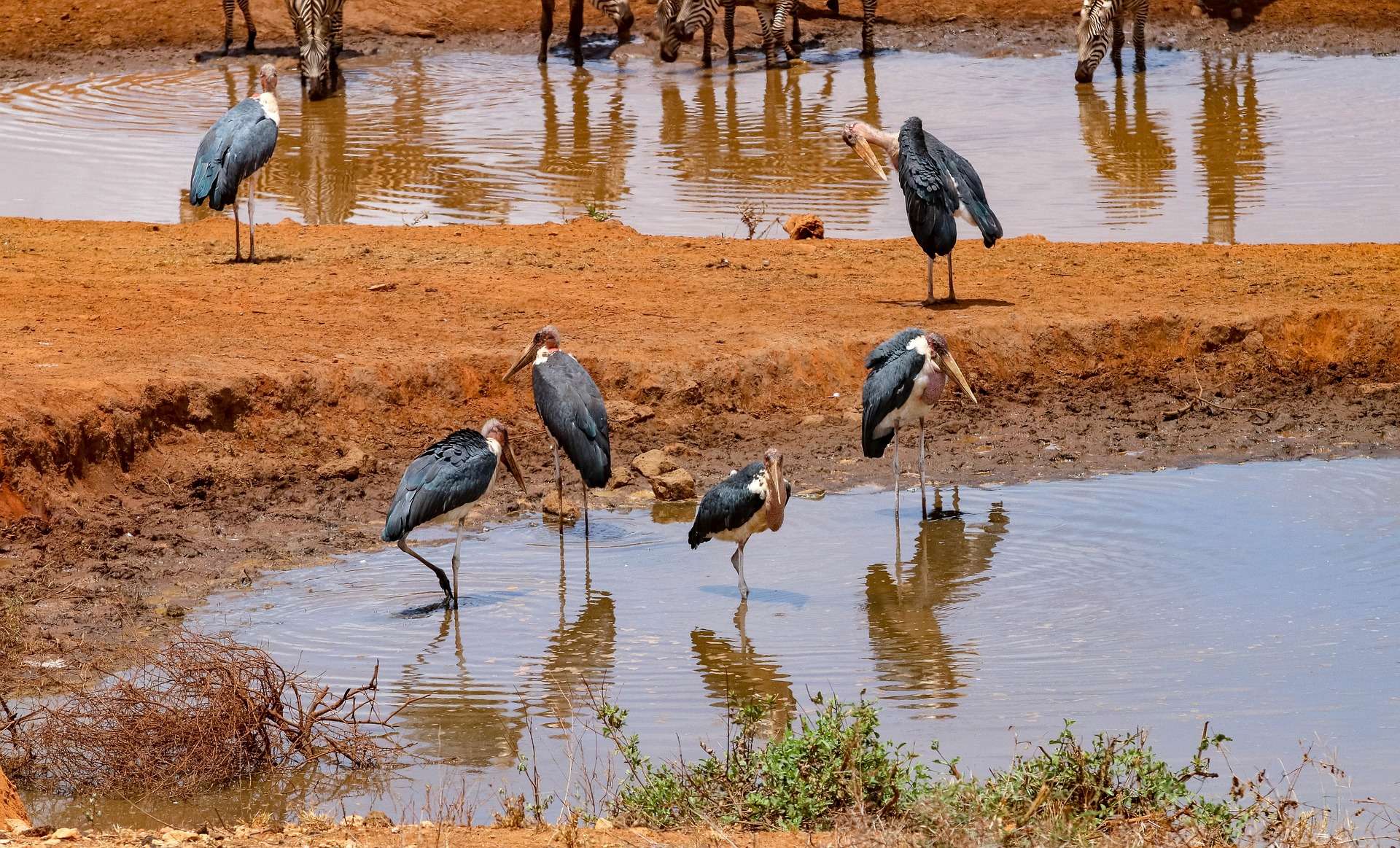 Shaba National Park