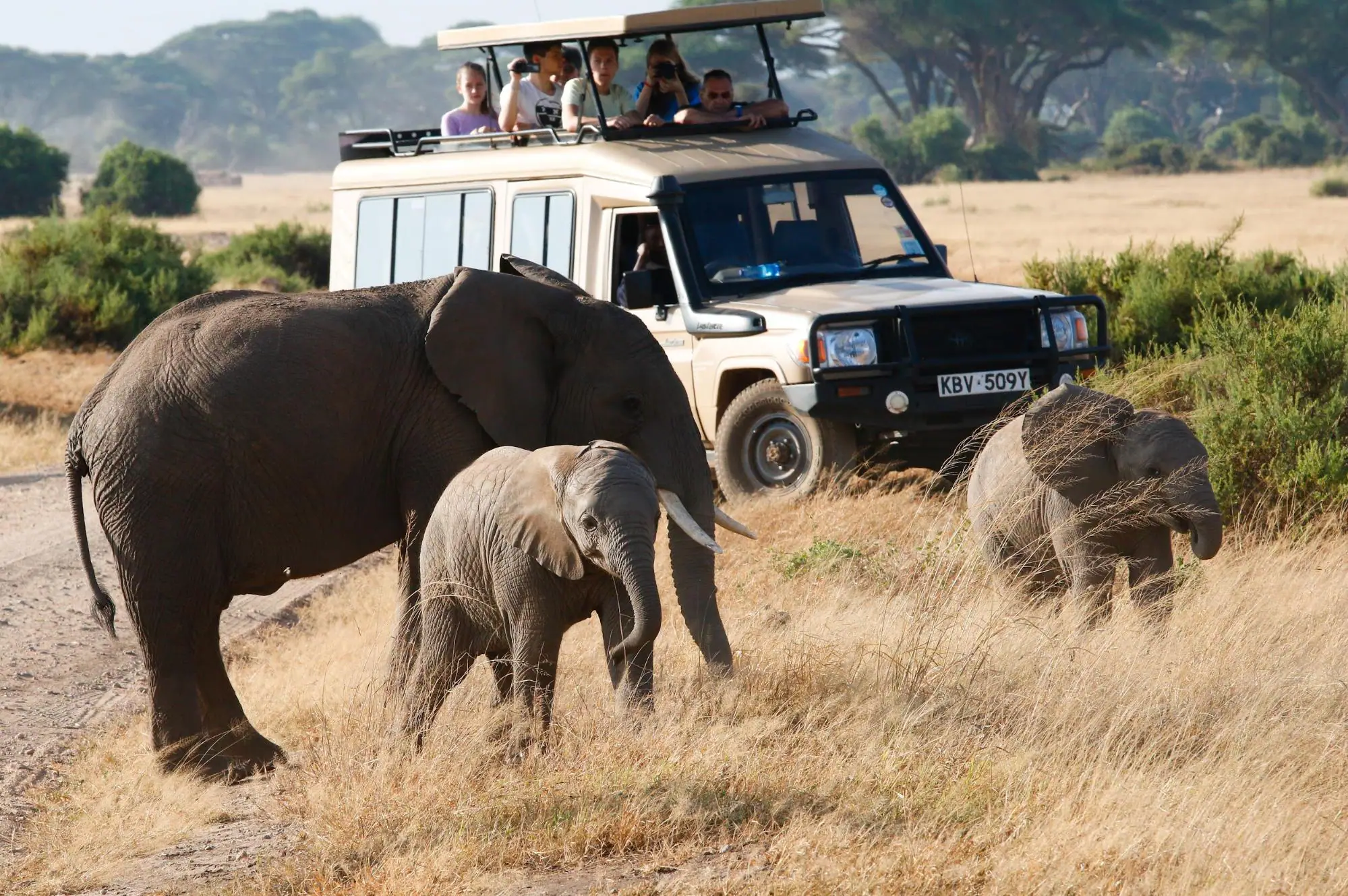 7-day Kenya safari