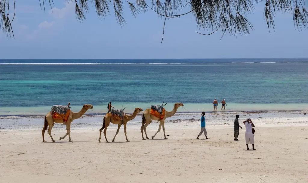 Captivating Reasons ot Visit Lamu Island in Kenya.