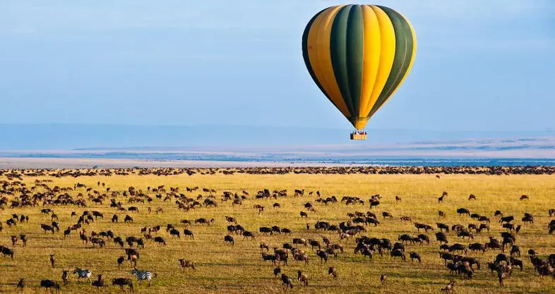 Places to visit in Africa for honeymoon -Serengeti National Park