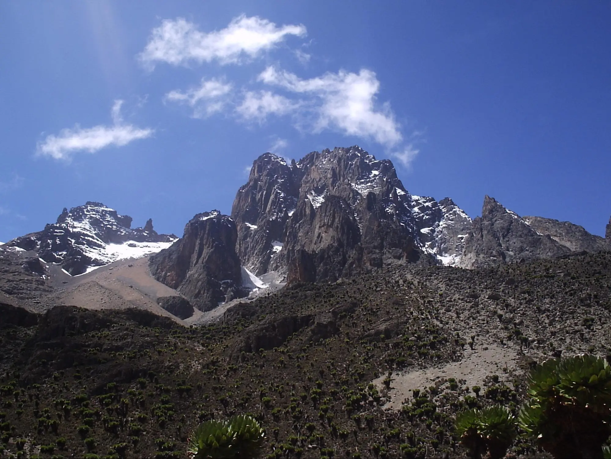 Mount Kenya National Park - Things to see in Kenya