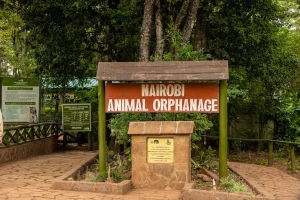 Touring the Nairobi animal orphanage - entering the animal orphanage