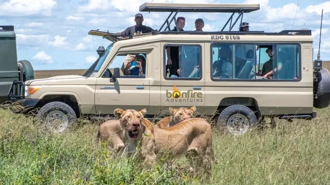 travel agents in Nairobi