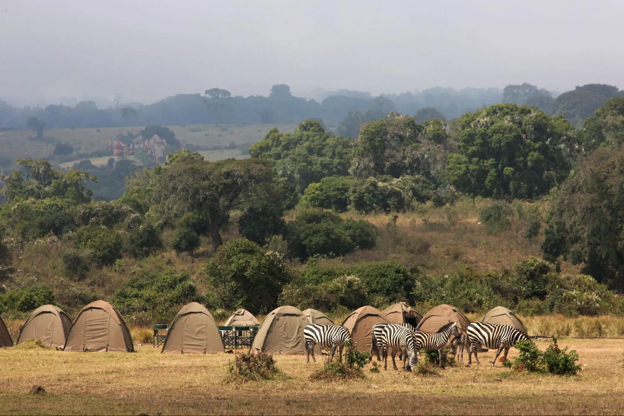 Nakuru National Park charges