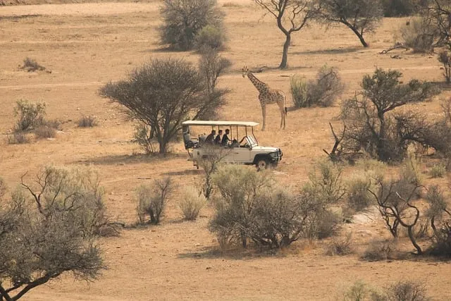 safari from Kenya