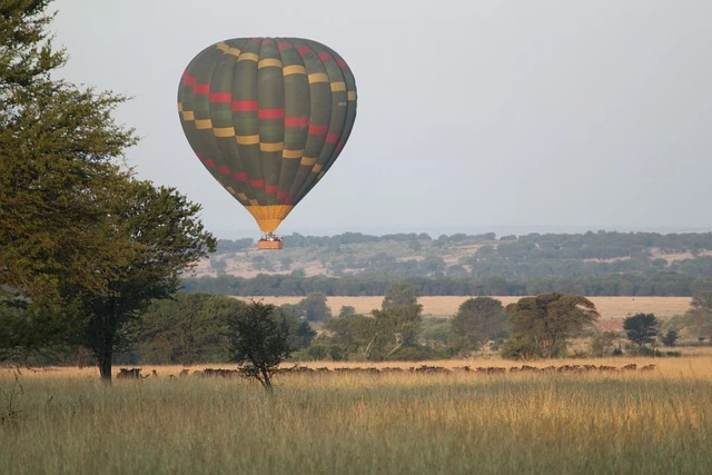 Ngorongoro crater national park