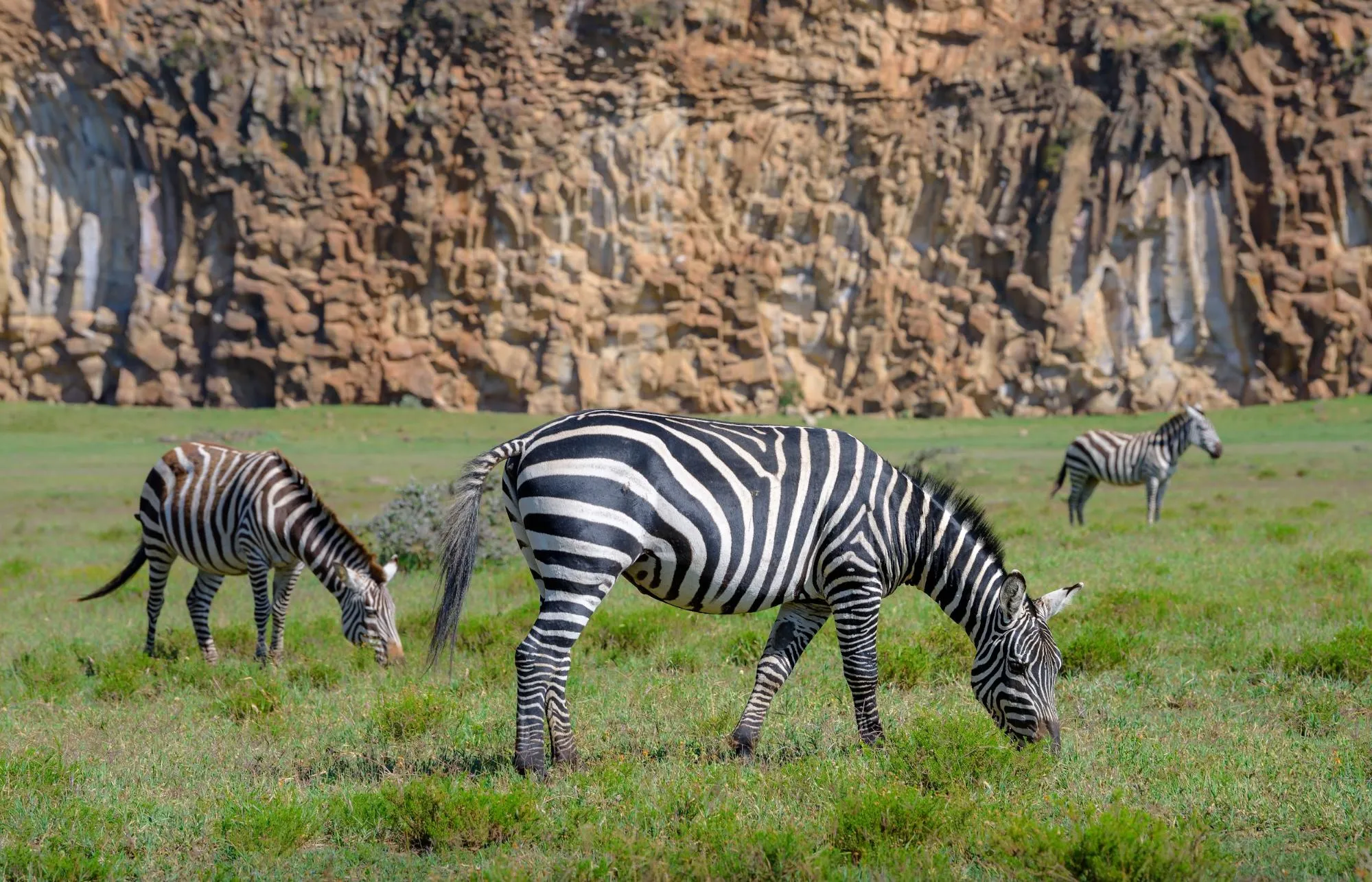 mt longonot hike packages