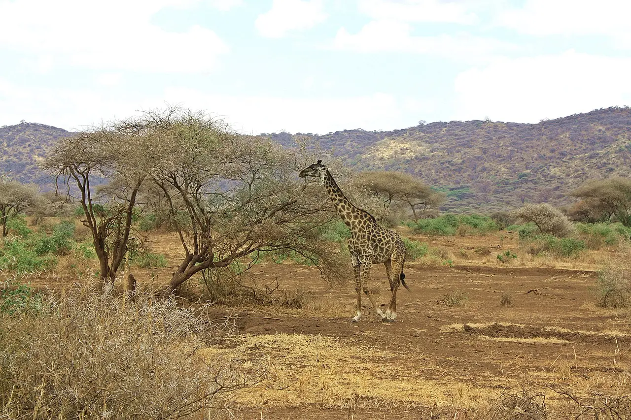 Family-friendly safari holidays to Ngorongoro Crater