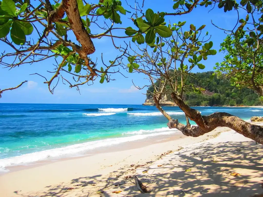 White sands of the Kenyan Coast