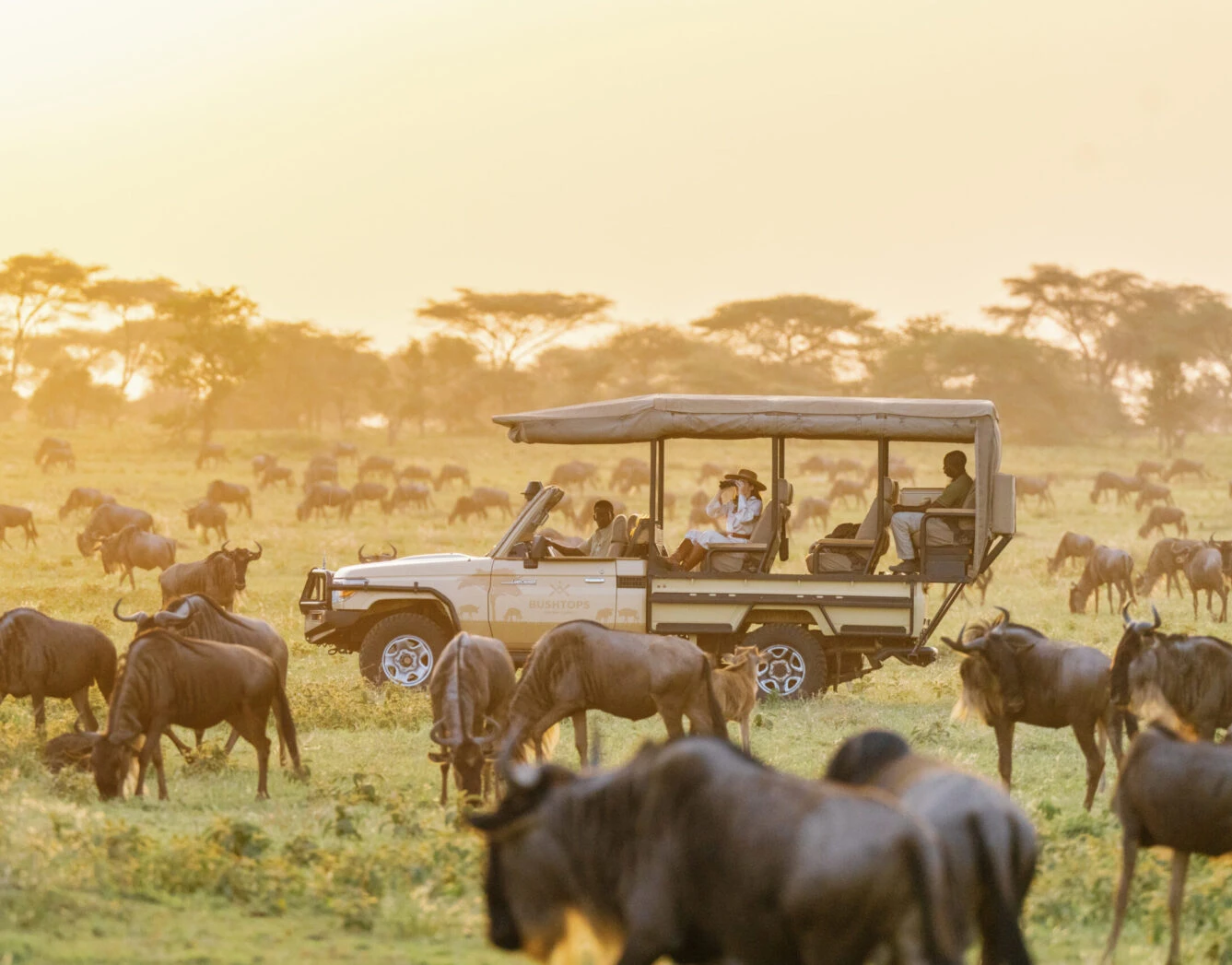 safari holiday family