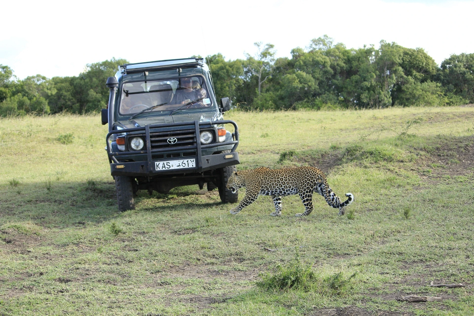 A Scenic Drive Exploring Kenya, Featuring Iconic Landscapes and Wildlife