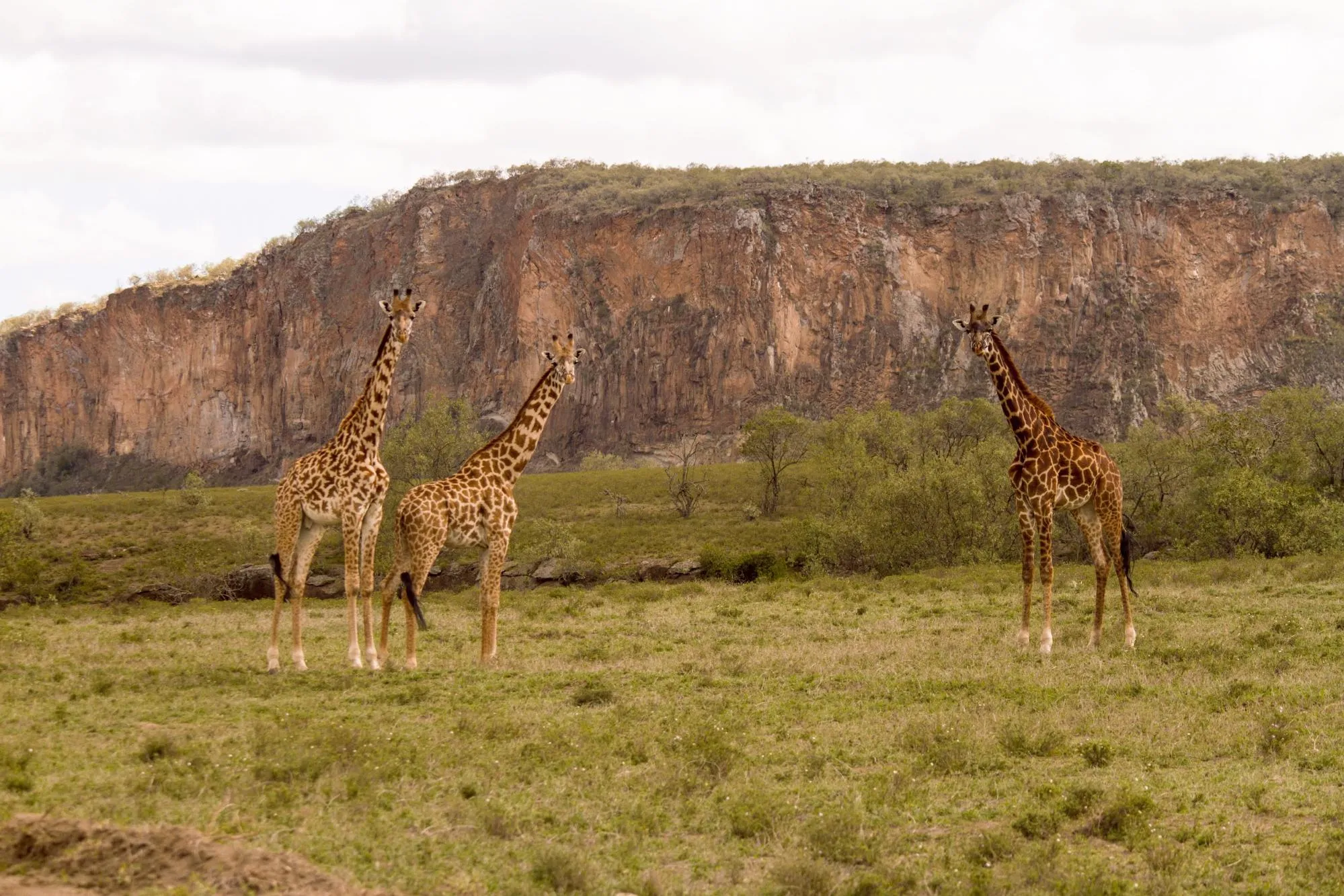 From Crater to Summit: A Hiker’s Guide to Mount Longonot, Kenya