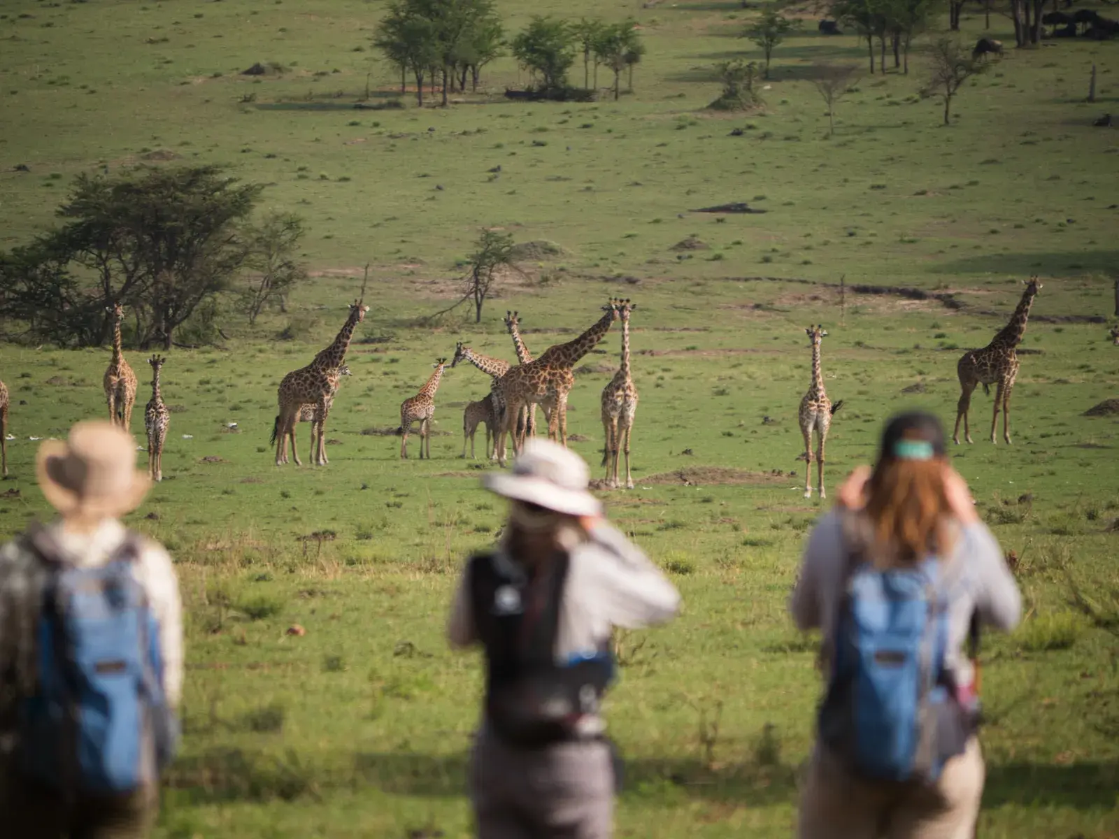 Tanzania Safari and Zanzibar Packages - walking safaris