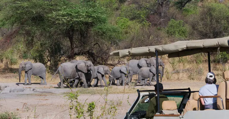 Exploring Tanzania on Family-friendly Safari Holidays
