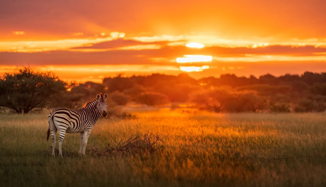 walking safaris in Serengeti