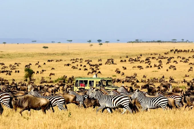 Great Migration of Africa