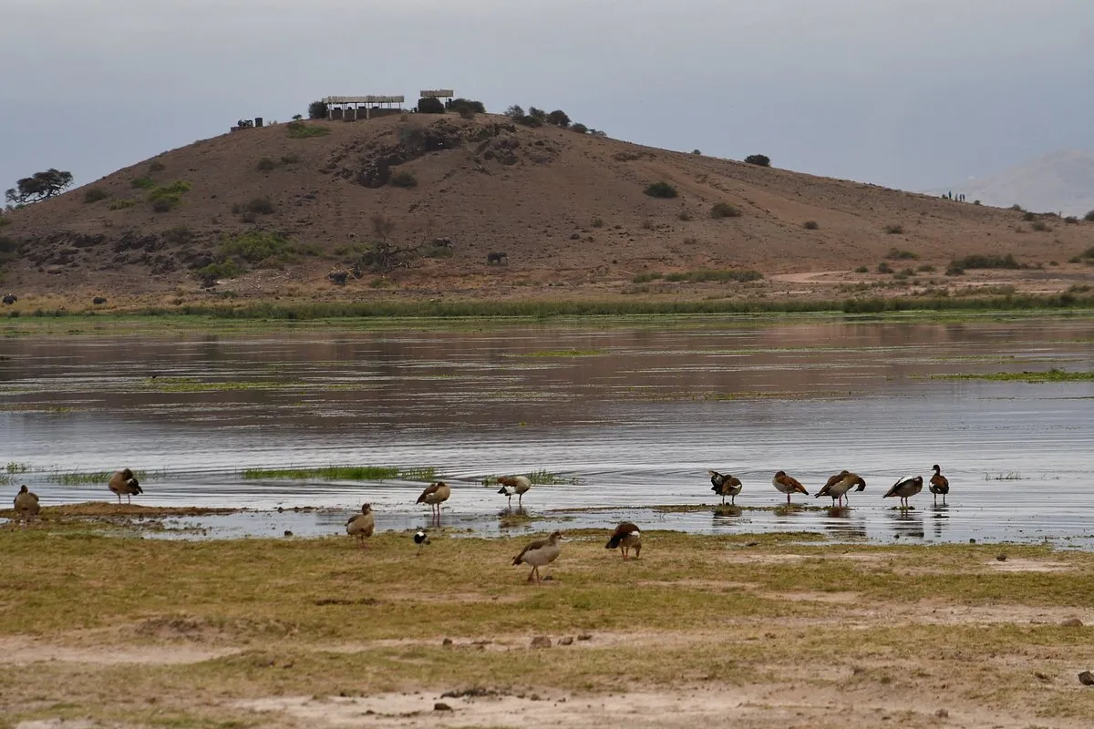 Amboseli from Nairobi