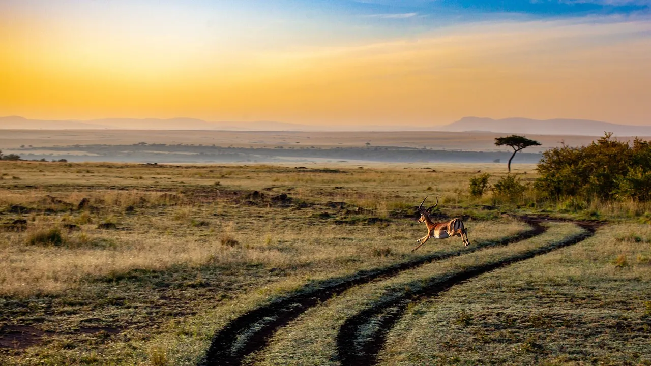 kenya safari packages