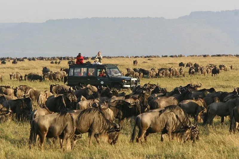 A family enjoying a safari in Masai Mara National Reserve