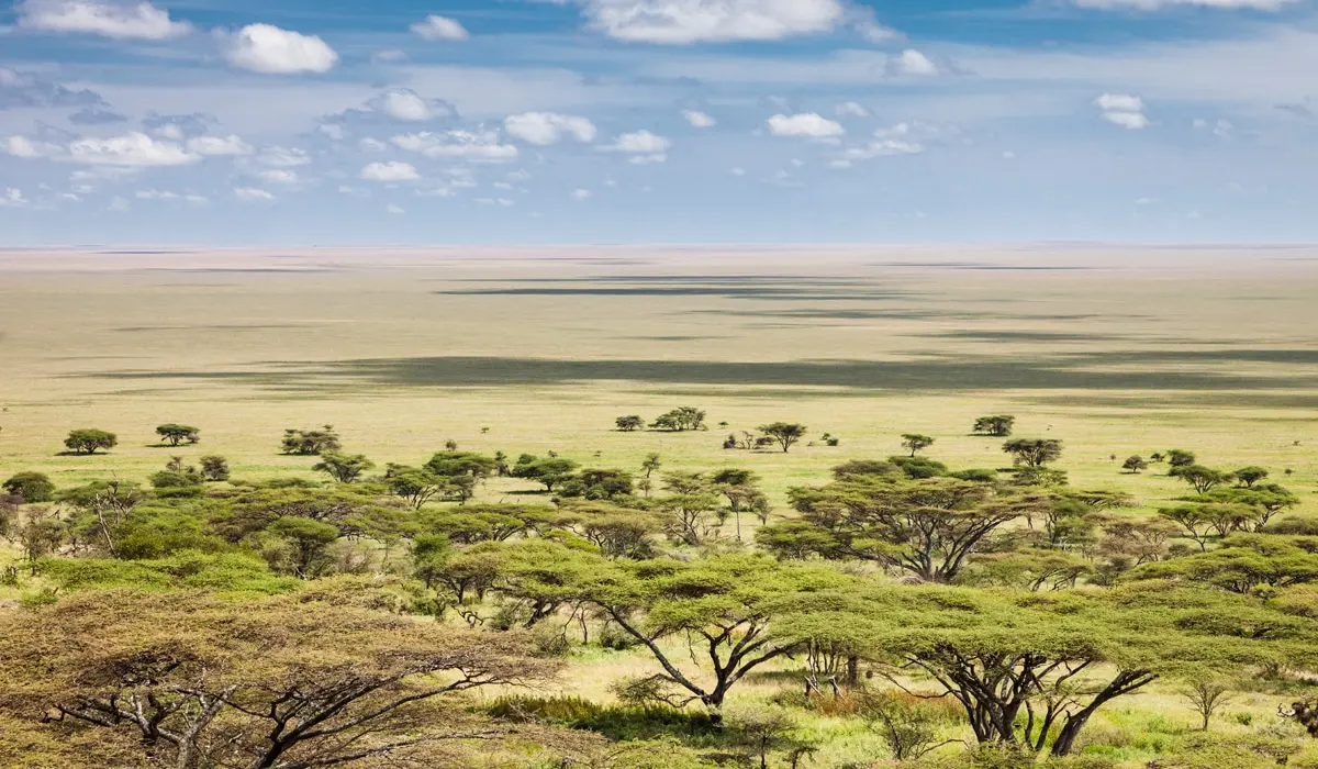 Booking the best safari in Tanzania - views of the expansive Serengeti Plains