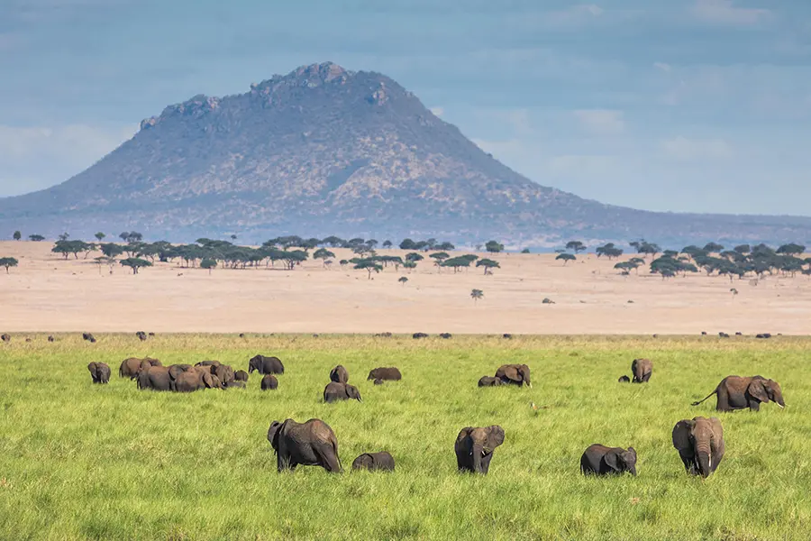 Planning for your luxury safari Tanzania