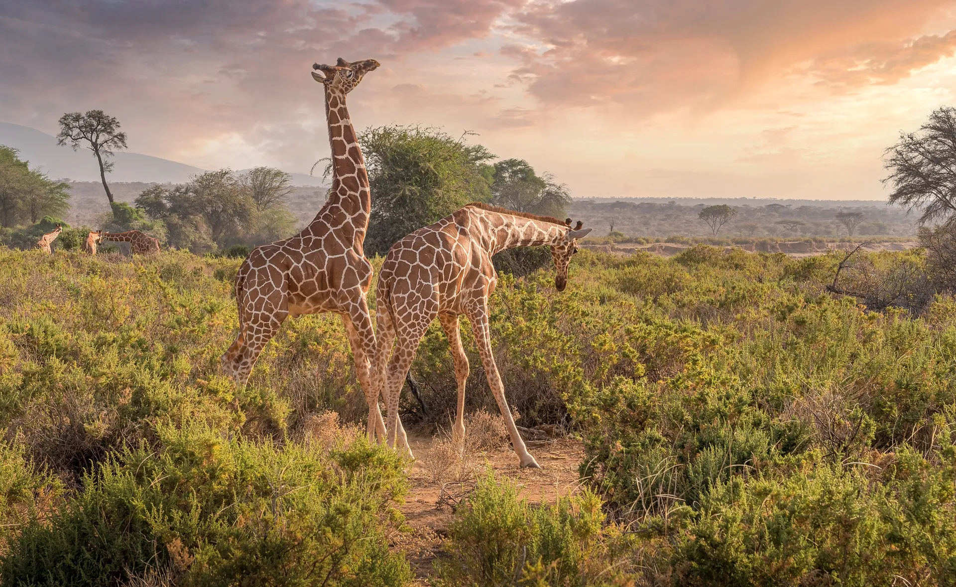 Nairobi travel agency