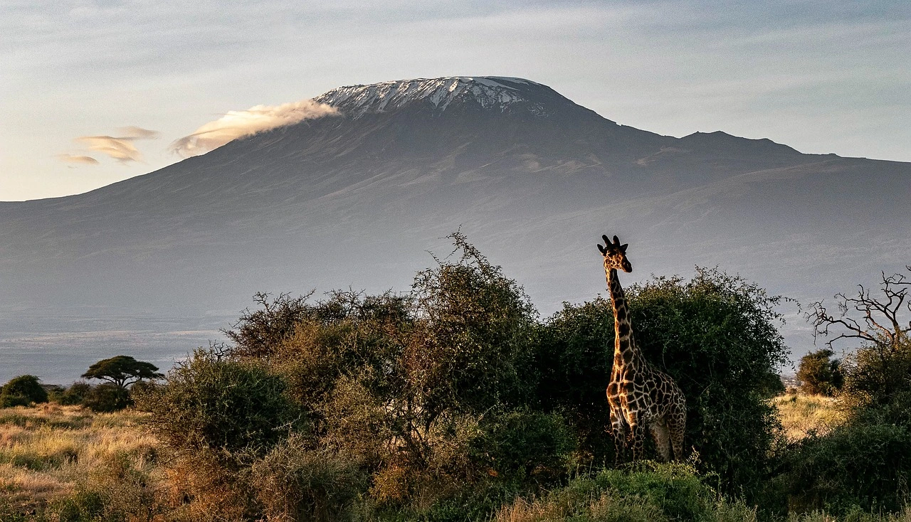 honeymoon packages in kenya - Views of Mount Kilimanjaro from Amboseli National Park.
