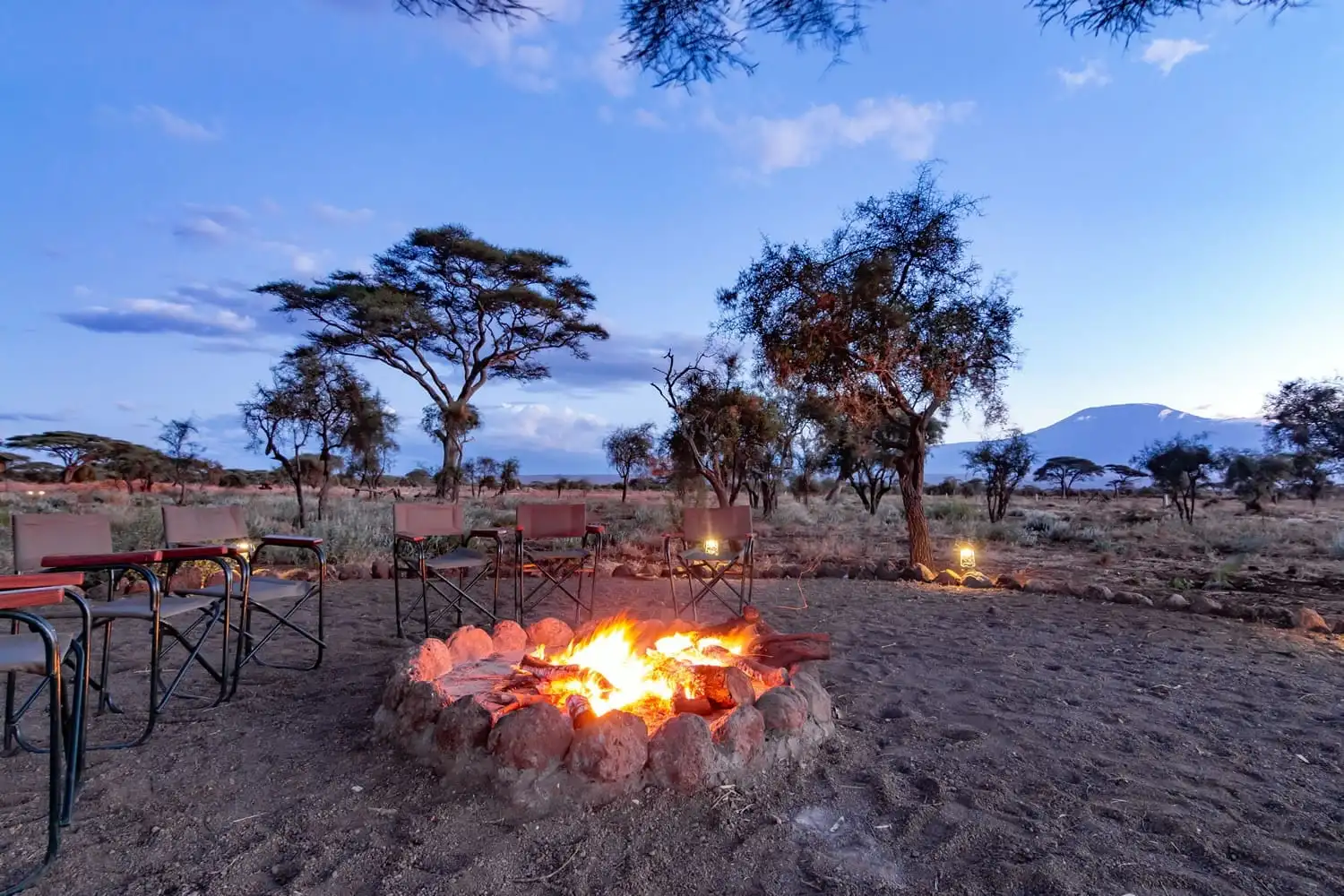 budget safari in Kenya for families, kibo safari lodge.
