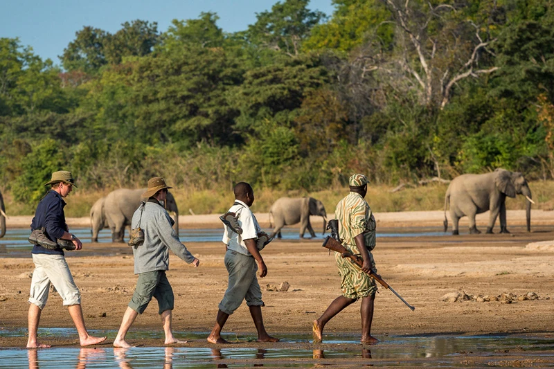 safaris Tanzania tours