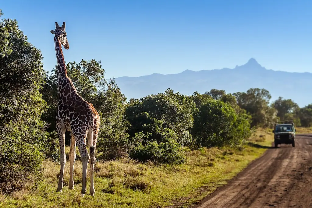 Travelling during the low season for Cheap Kenya Holidays - game drives during the rainy season
