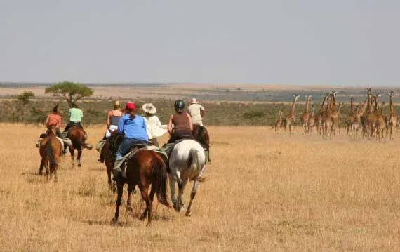 Nairobi National Park prices for special events - horseriding in the park