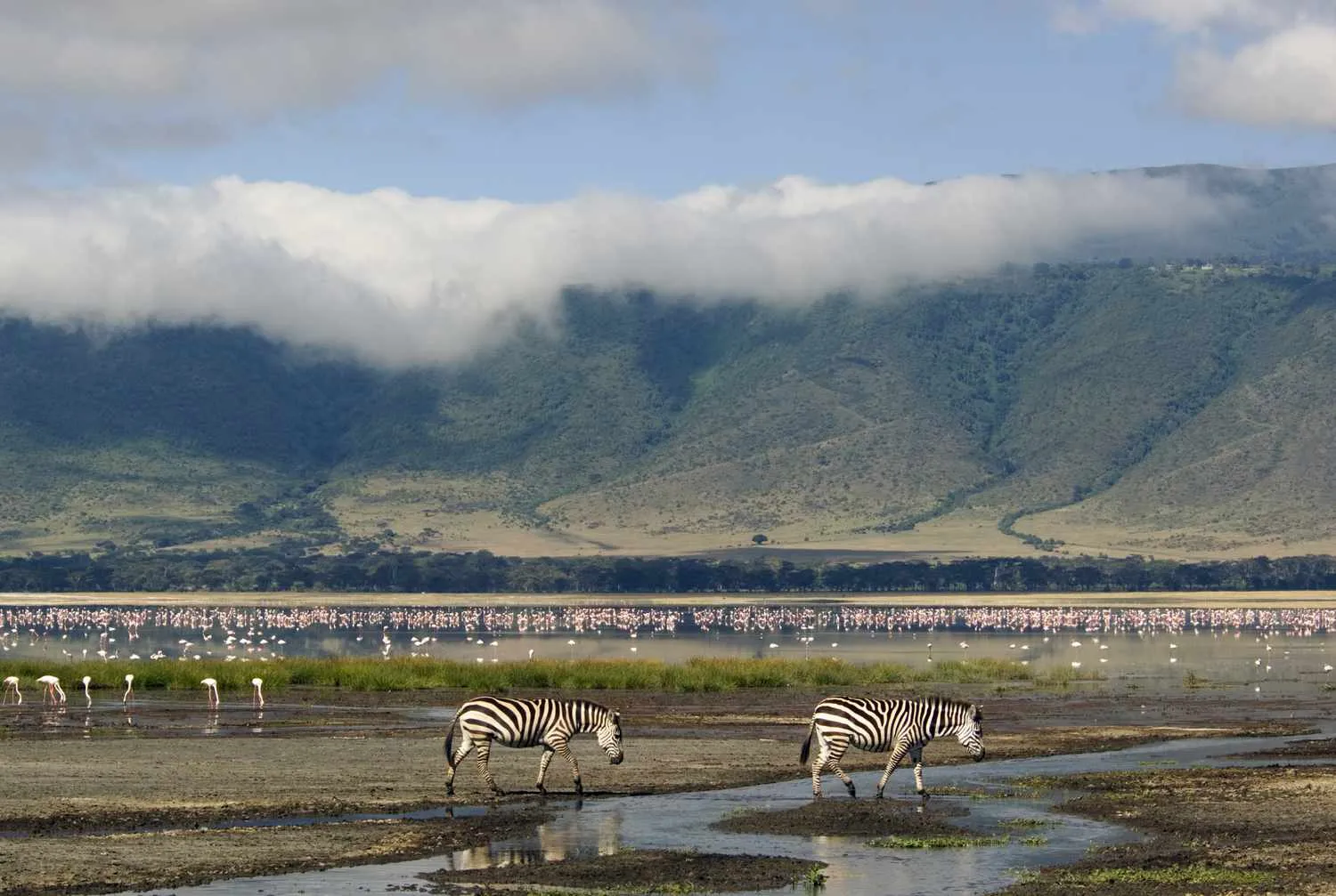 Manyara Lake