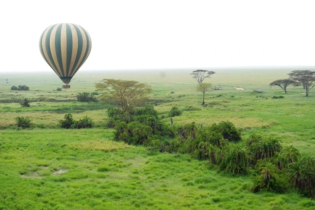 Serengeti package holiday