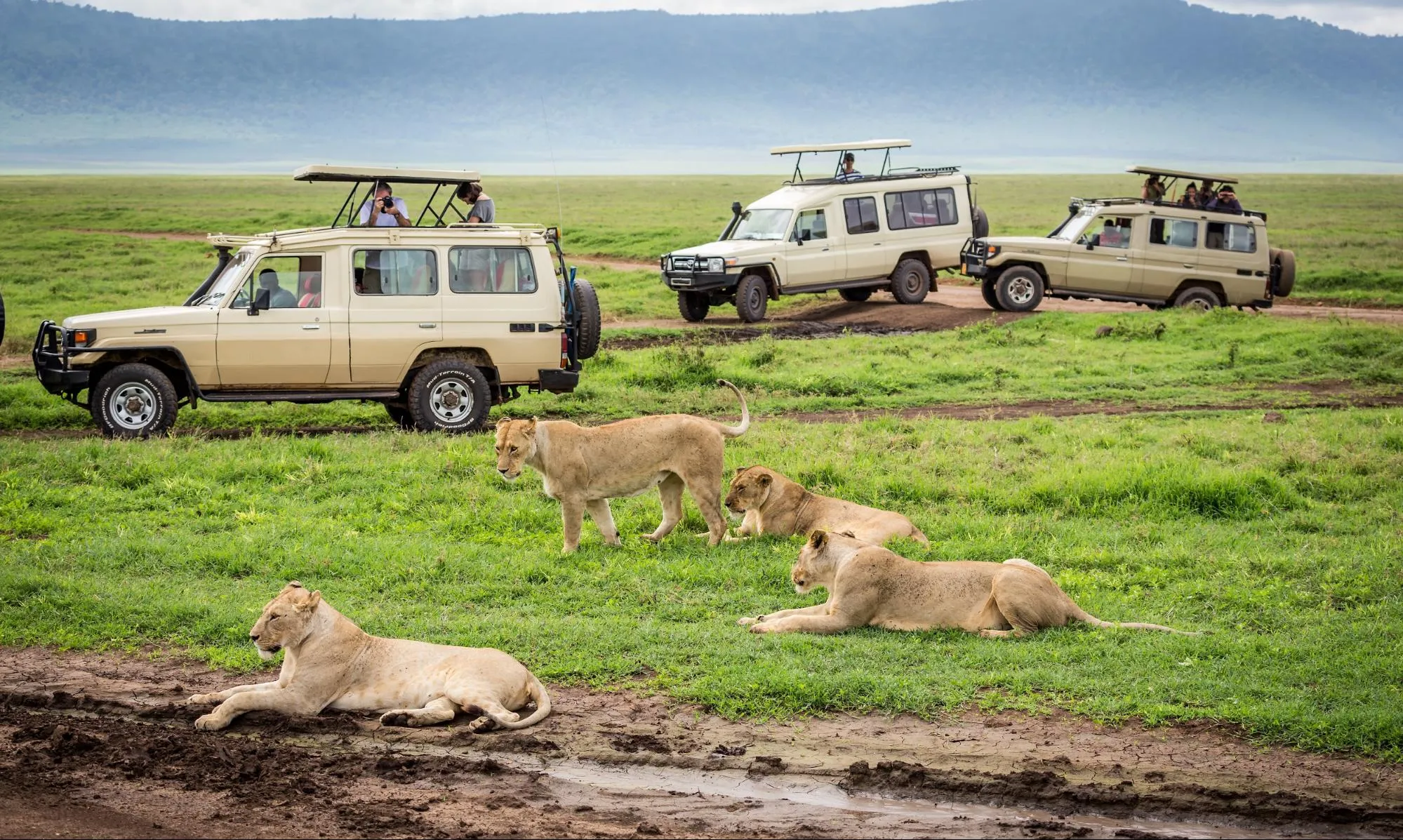 Amboseli National Park from Nairobi