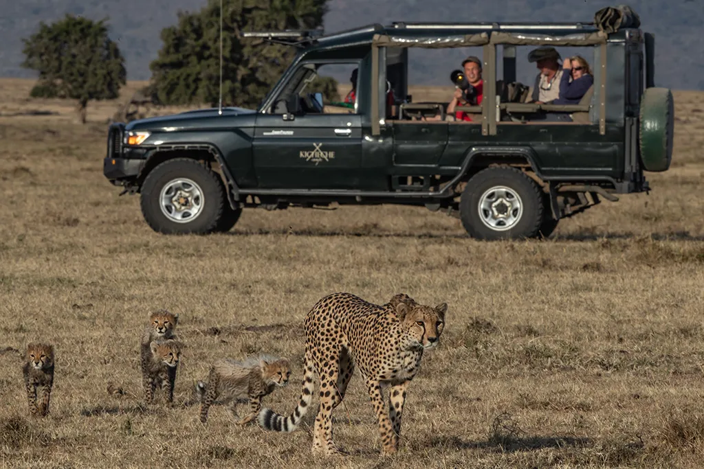 kicheche bush camp