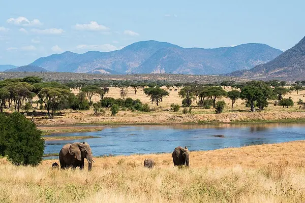How Ruaha National Park came to be