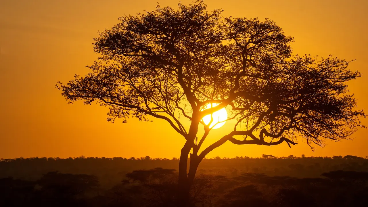 Sunset during evening game drive in Serengeti